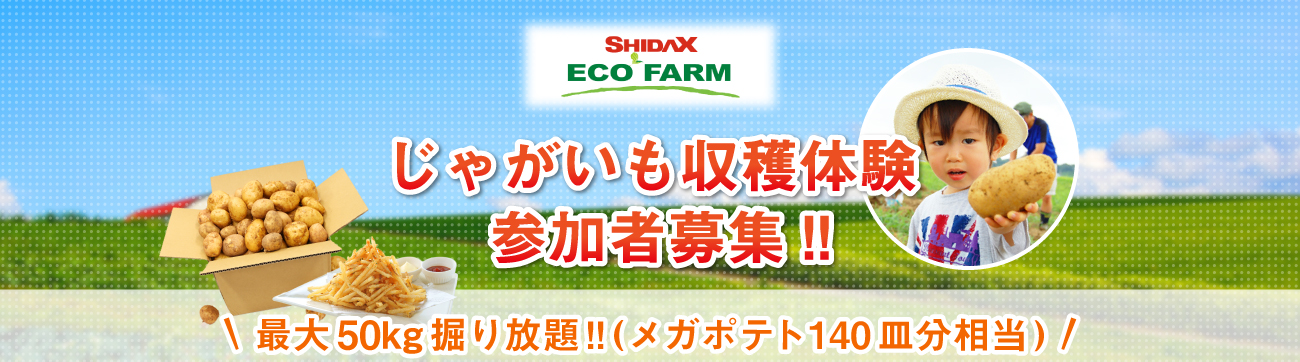 SHIDAX ECOFARM じゃがいも収穫体験参加者募集!!