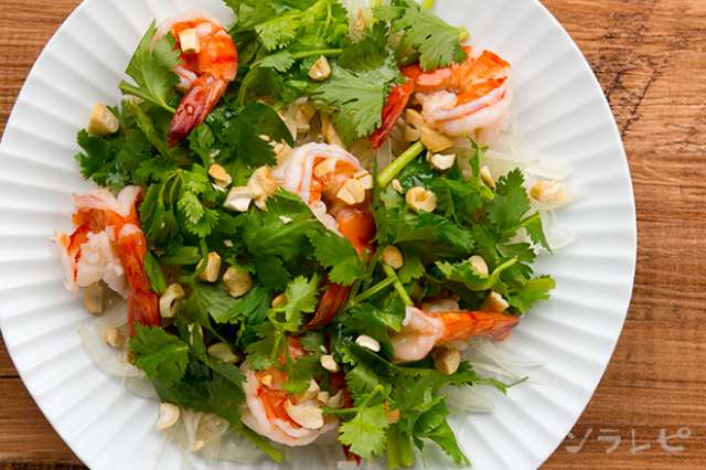 パクチーたっぷりえびのベトナム風サラダのレシピ 健康レシピと献立のソラレピ