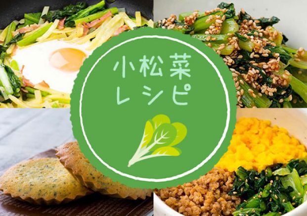 小松菜レシピ特集 小松菜レシピ特集