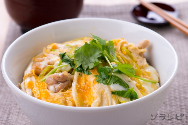 長ネギ入り親子丼