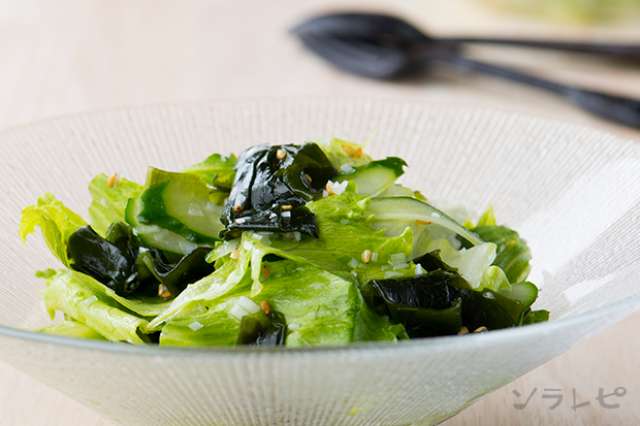 かんたん中華風わかめとレタスのお酢サラダのレシピ ソラレピ